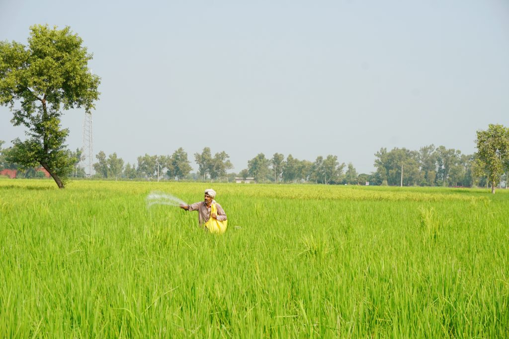 Fertilizer Services
