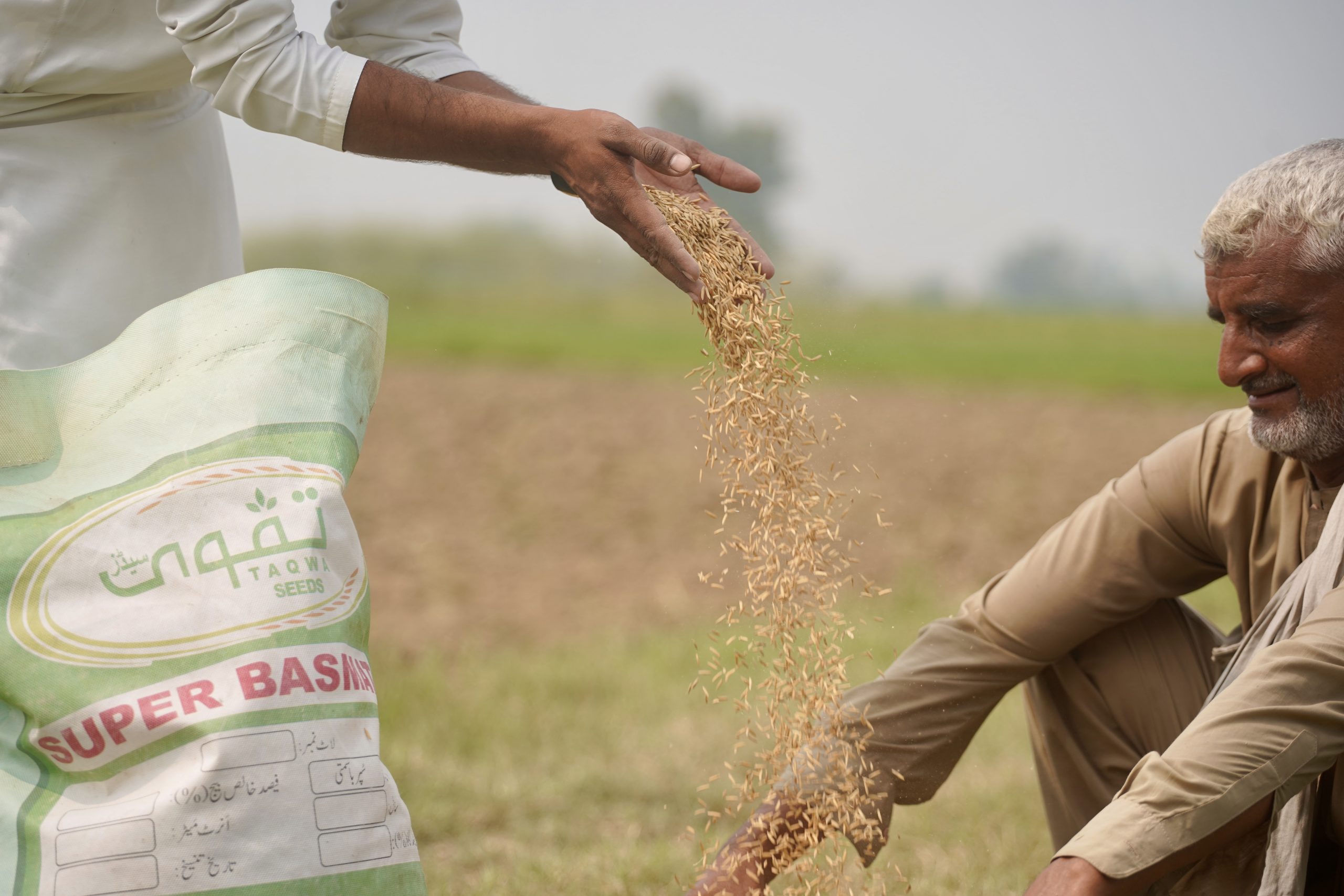 Certified Seeds