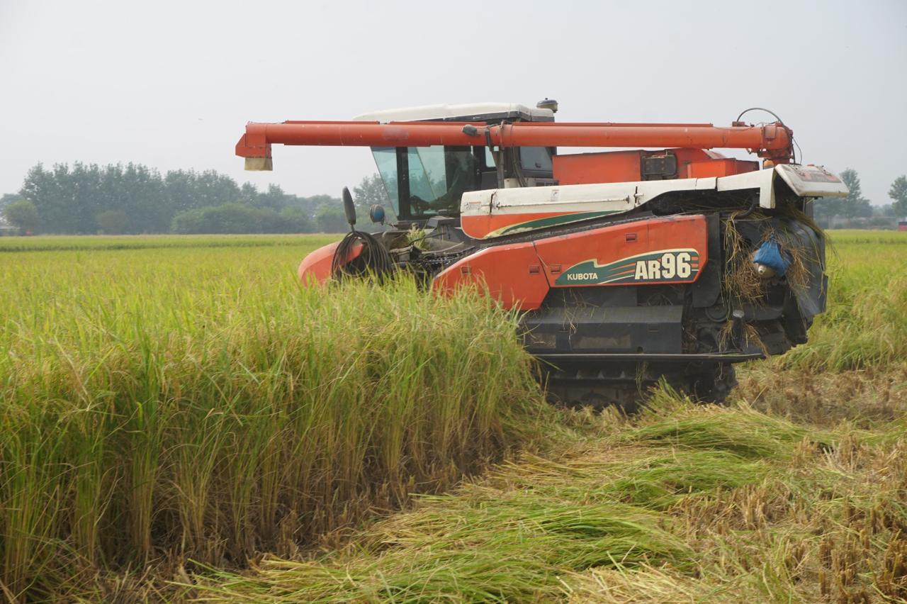 Reduce harvest loss